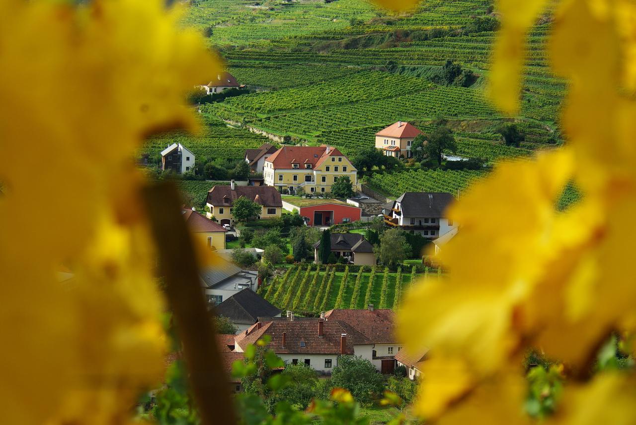 Hotel Garni Weinberghof & Weingut Lagler Spitz an der Donau Exterior photo